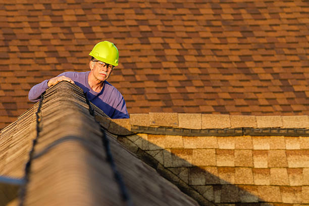 Roof Gutter Cleaning in Swedesboro, NJ